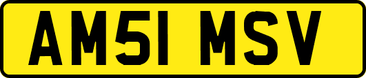 AM51MSV