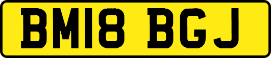 BM18BGJ