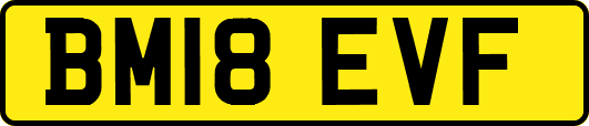 BM18EVF