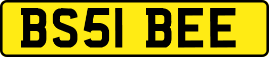 BS51BEE