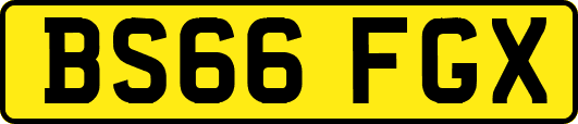 BS66FGX