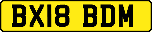 BX18BDM