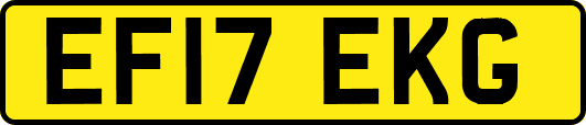 EF17EKG