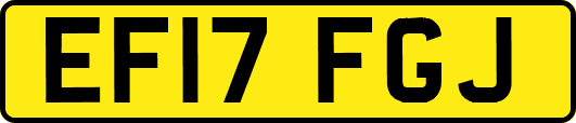 EF17FGJ