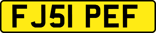 FJ51PEF