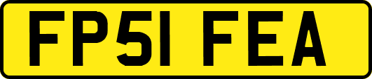 FP51FEA