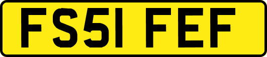 FS51FEF