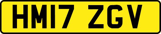 HM17ZGV