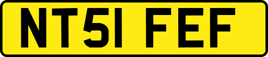 NT51FEF
