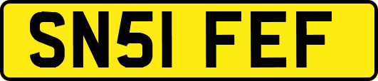 SN51FEF