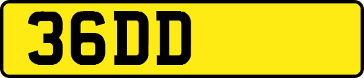 36DD