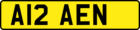 A12AEN