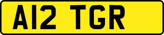 A12TGR