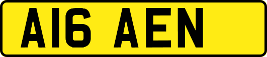 A16AEN