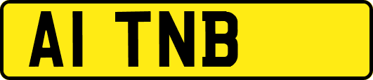A1TNB