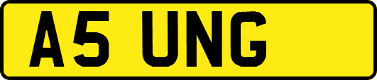 A5UNG