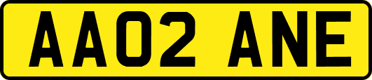 AA02ANE
