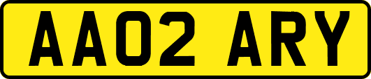 AA02ARY