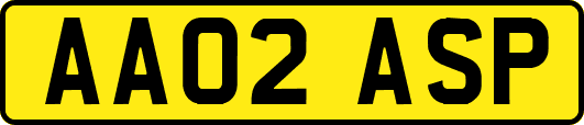 AA02ASP