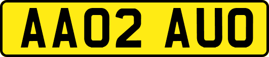 AA02AUO