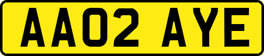 AA02AYE