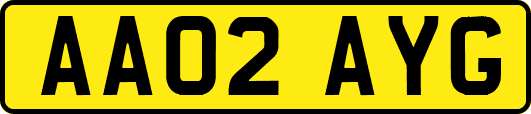 AA02AYG