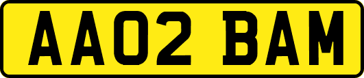 AA02BAM