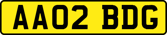 AA02BDG