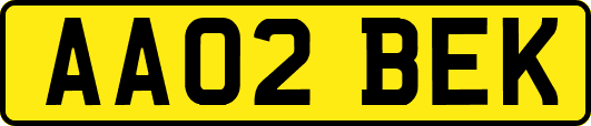 AA02BEK
