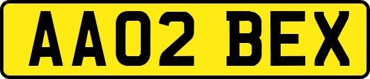 AA02BEX