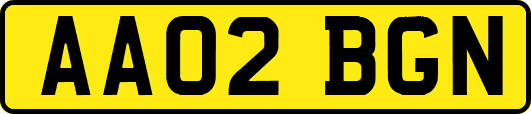 AA02BGN