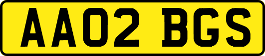 AA02BGS