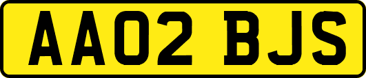 AA02BJS