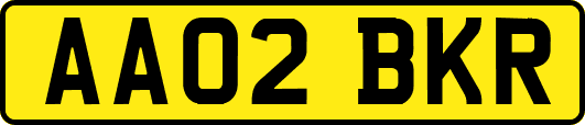 AA02BKR