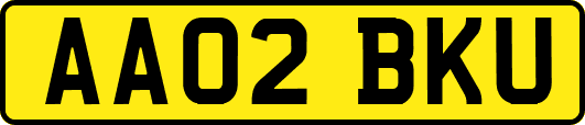 AA02BKU
