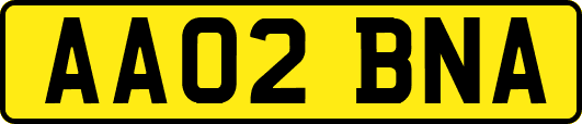 AA02BNA