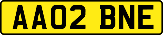 AA02BNE