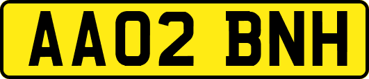 AA02BNH