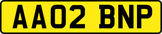 AA02BNP