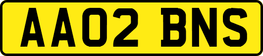 AA02BNS