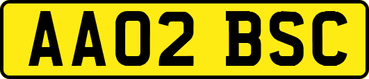AA02BSC