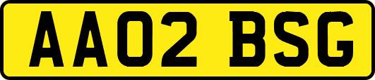 AA02BSG