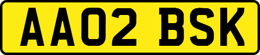 AA02BSK