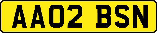AA02BSN
