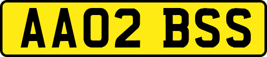 AA02BSS