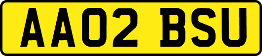 AA02BSU