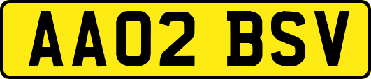 AA02BSV
