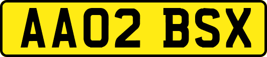 AA02BSX