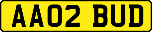 AA02BUD