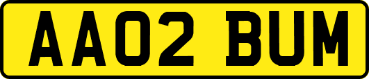 AA02BUM